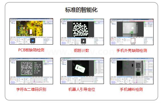 標準的定制化